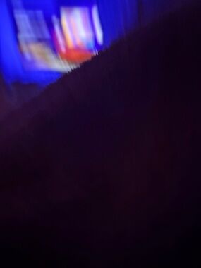 Meet your Posher, Bree